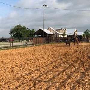 Meet your Posher, Dan